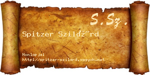 Spitzer Szilárd névjegykártya